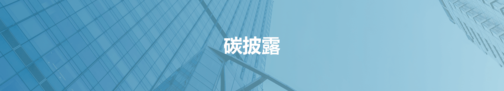 碳披露基础数据库